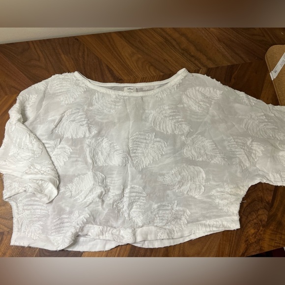 Wilfred Tops - Aritzia Wilfred Blayze blouse white sheer with appliqué detail size small
